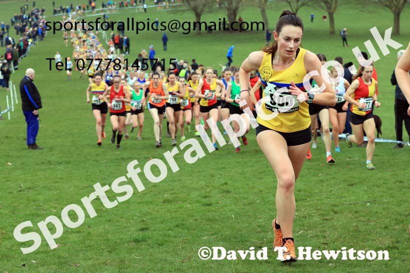 Senior Women, 2024 CAU Inter Counties Cross Country Champs., Wollaton Park, Nottingham. Photo: David T. Hewitson/Sports for All Pics
